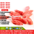 Mechanical Dried Goji Berry/goji berry in bulk package